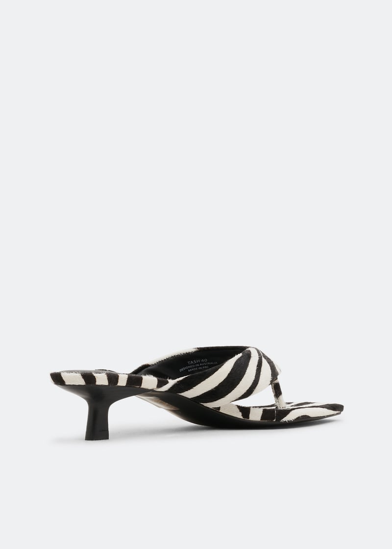 tashii-zebra_4.jpg?ts=20220505184643