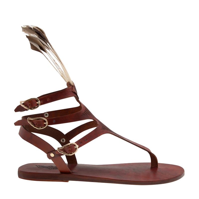 themistulum-brown_1.jpg