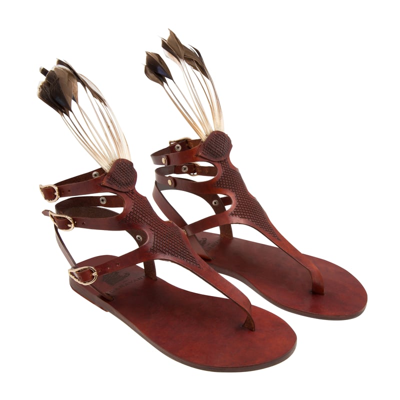 themistulum-brown_2.jpg