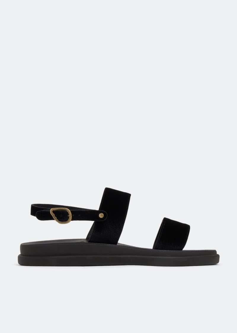 timon-black_1.jpg?ts=20230107031514