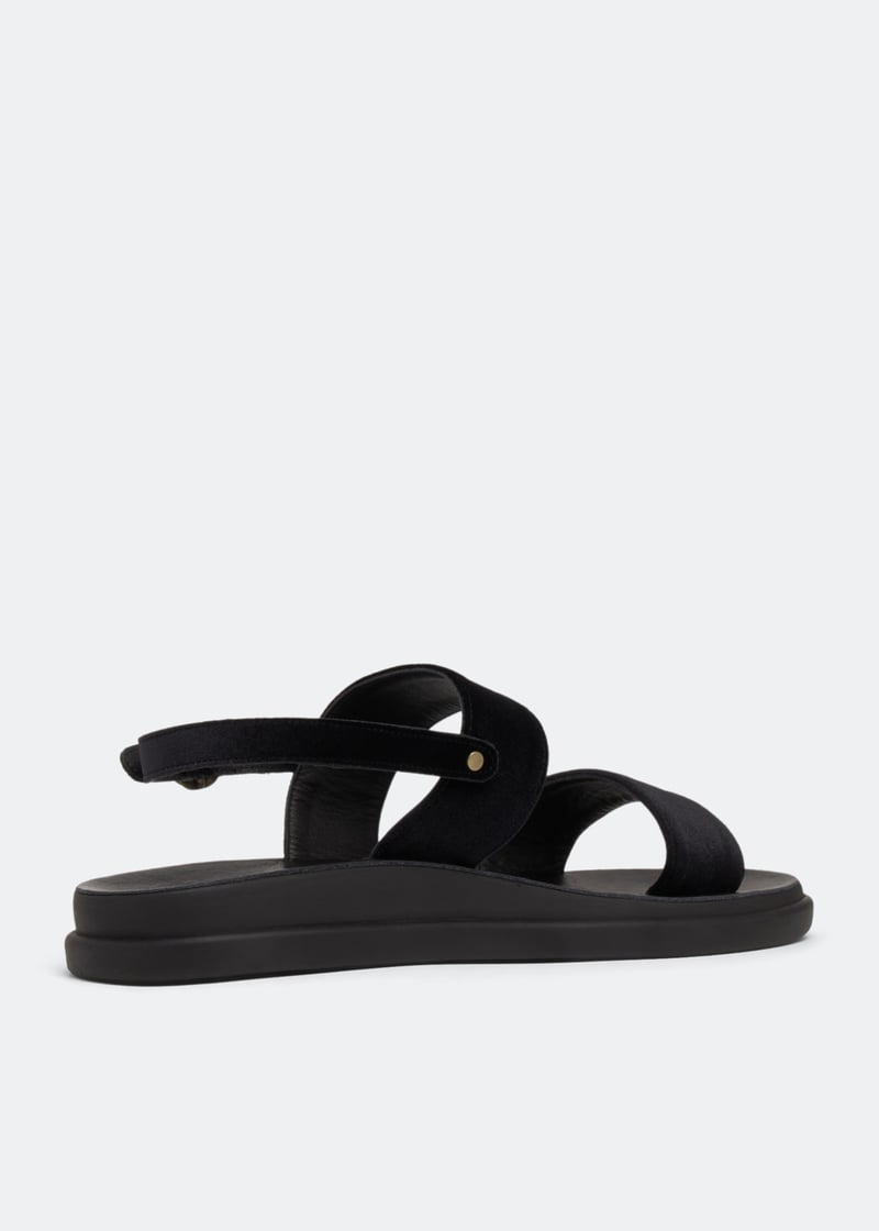 timon-black_4.jpg?ts=20230107031514