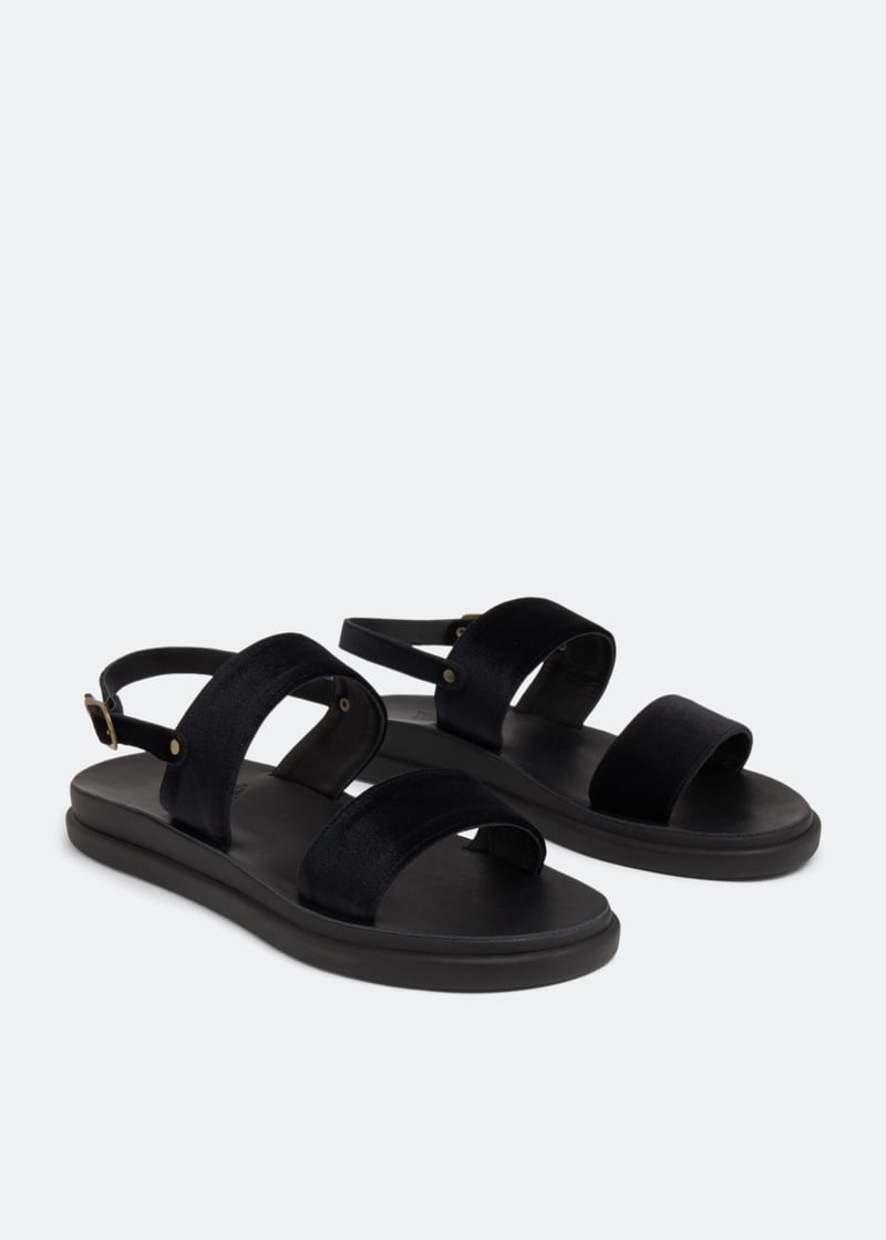 timon-black_5.jpg?ts=20230107031514