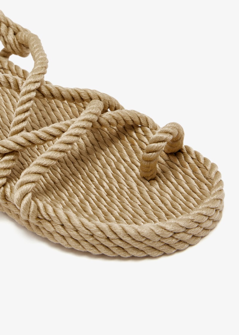 toejoe-camel_5.jpg?ts=20250111031532