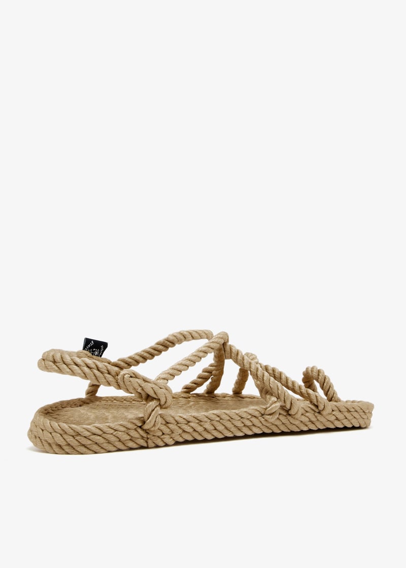 toejoe-camel_6.jpg?ts=20250111031532