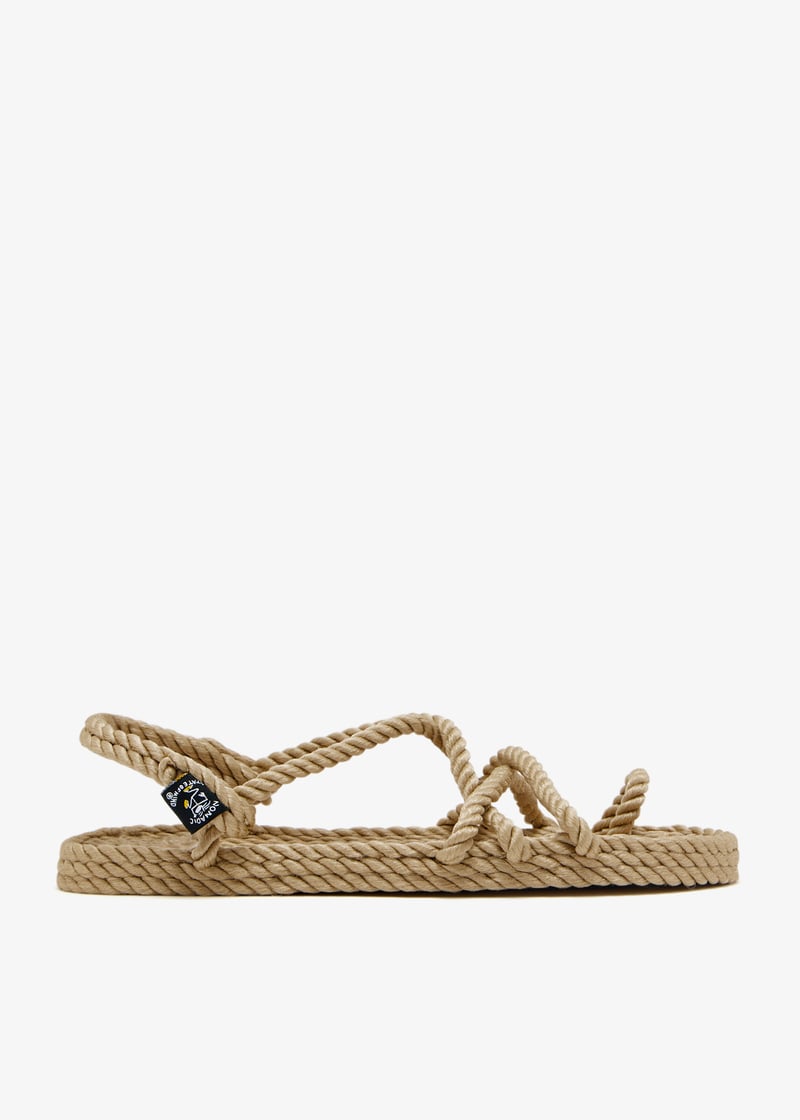 toejoe-camel_1.jpg?ts=20250111031532